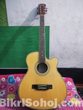 Guitar